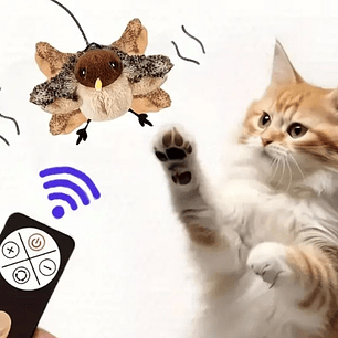 Pollo interactivo control