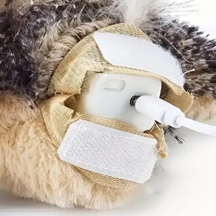 Pollo chico interactivo 3