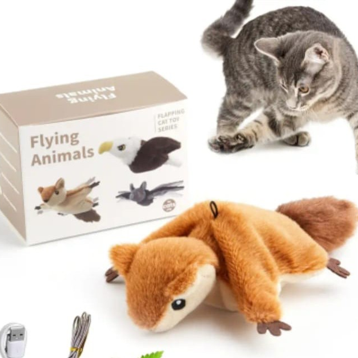 Ardilla interactiva 1