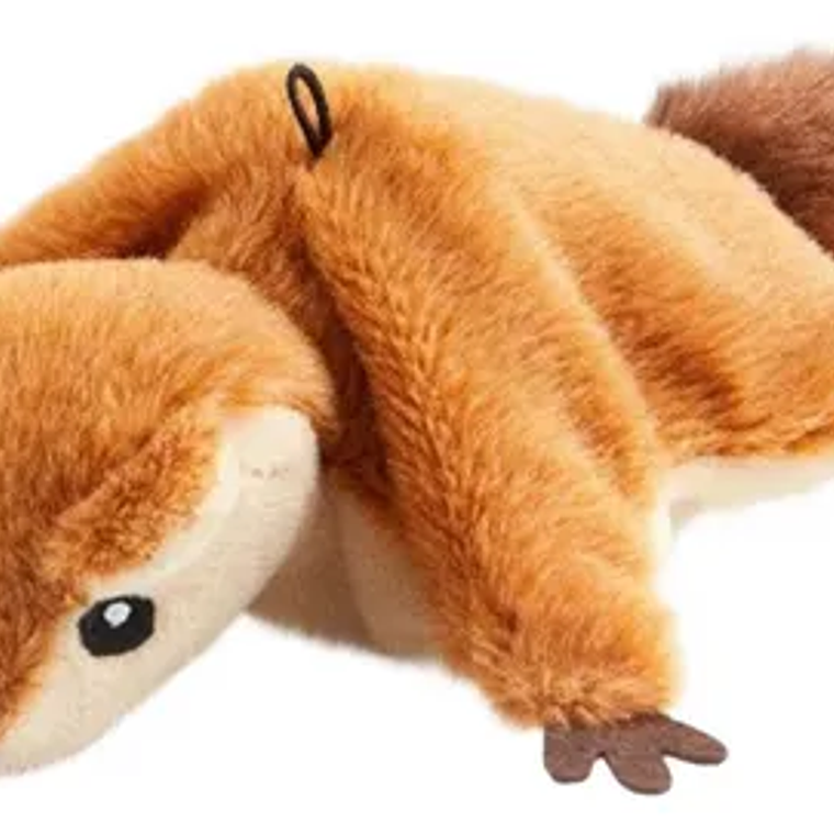 Ardilla interactiva 2