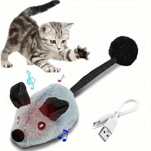 Raton interactivo control