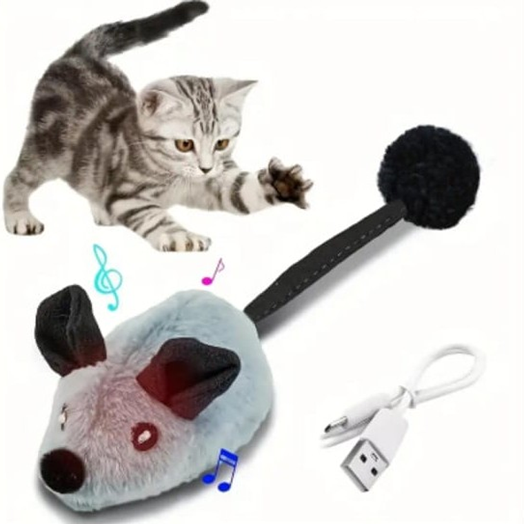 Raton interactivo control 1