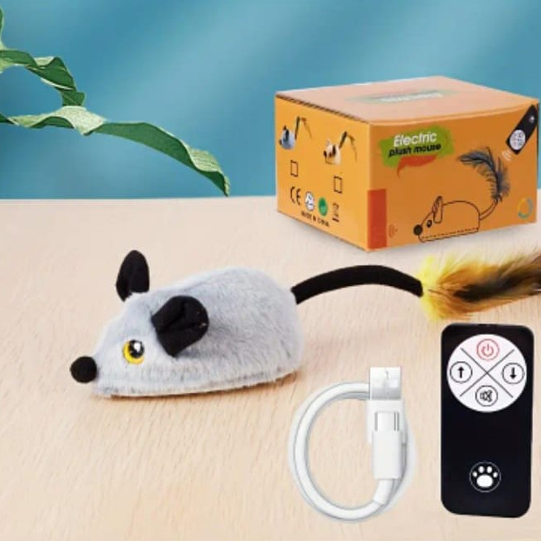 Raton interactivo control 2