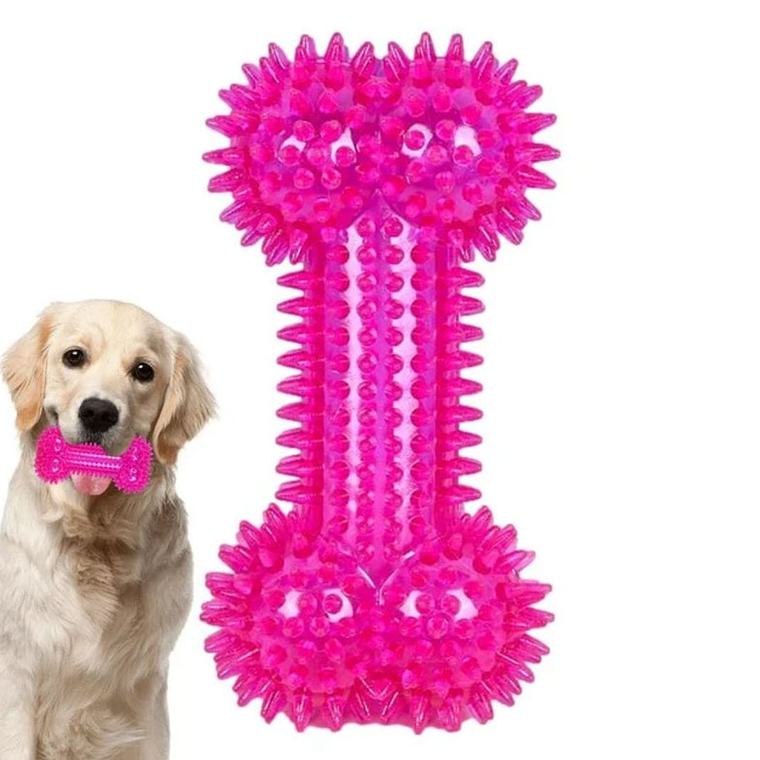 Hueso molar pinchudo 2