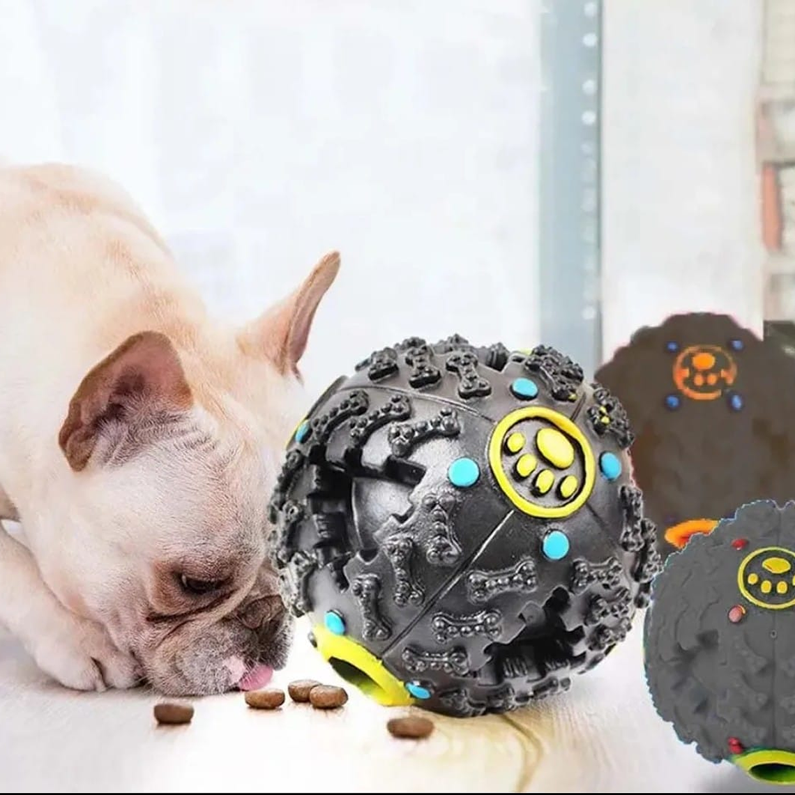 Pelota con fuga de comida  1