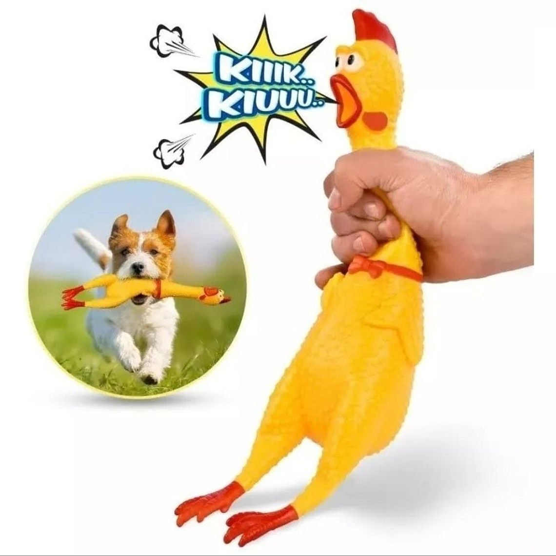 pollo griton 31 cms  2