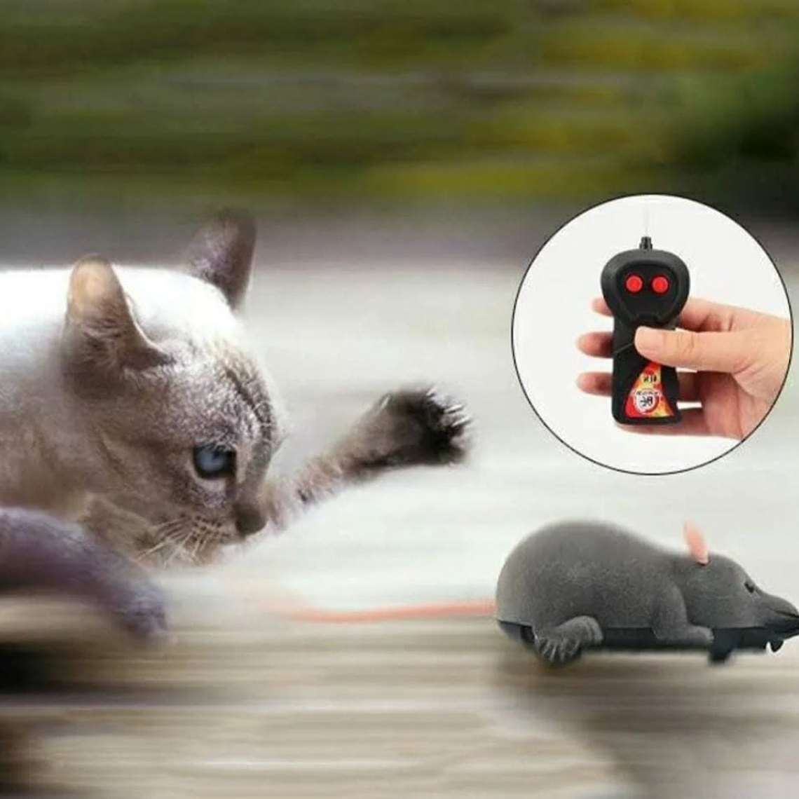 Raton gigante con control y pilas 3