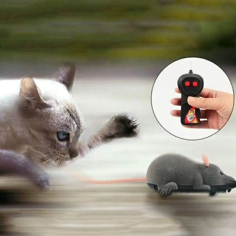 Raton gigante con control y pilas 3