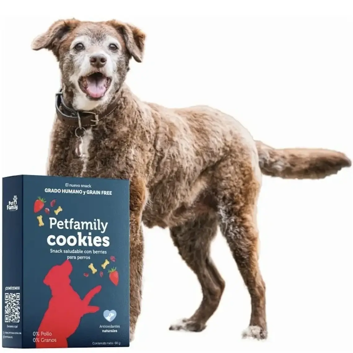 Snack petfamily cookies 3