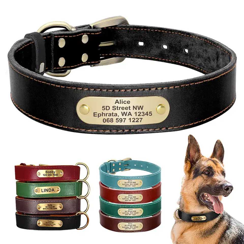 collar De Cuero Para Perro Con Placa Personalizable 1