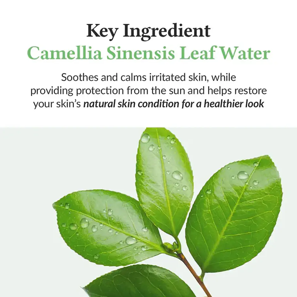 Green Tea Fresh Sunscreen 45ml 4