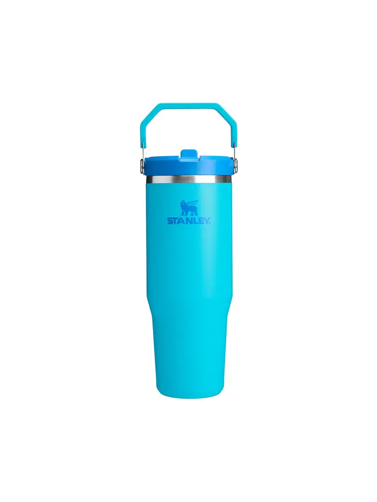FLIP STRAW TUMBLER SPLASH 887 ML 1
