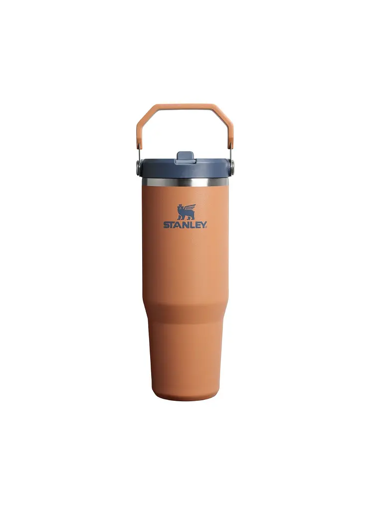 FLIP STRAW TUMBLER TOAST 887 ML 1