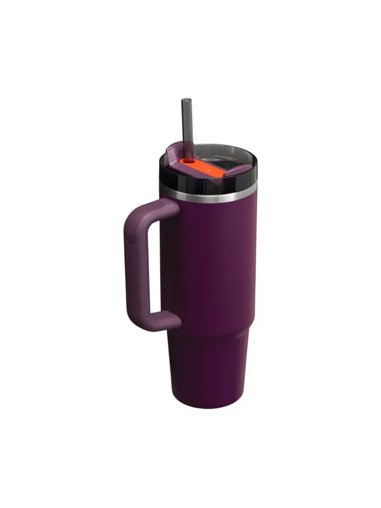 QUENCHER 887 ML PLUM 3