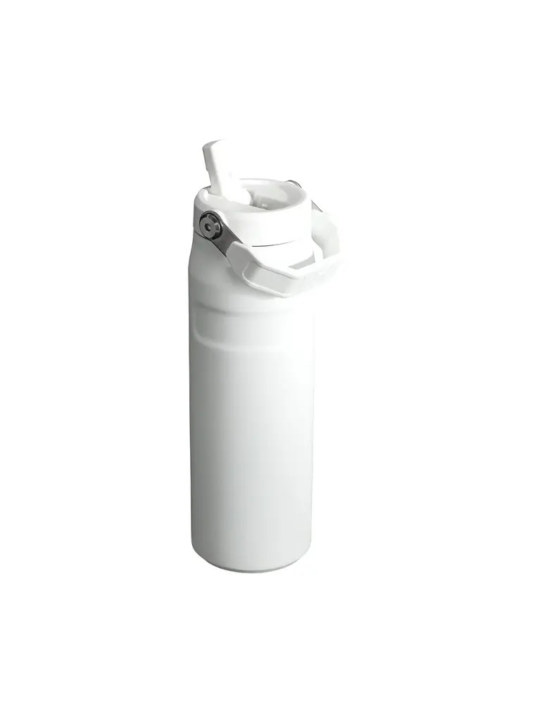 AEROLIGHT FLIP STRAW 710 ML POLAR 3