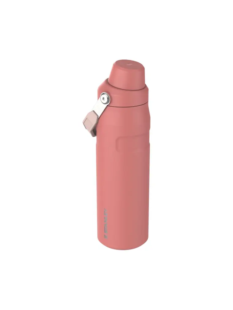 BOTELLA AEROLIGHT TERRACOTA 710 ML 1
