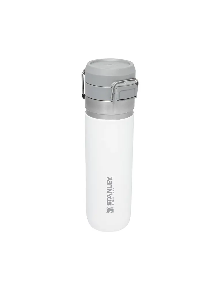FLIP GO BOTTLE  710 ML FROST 1