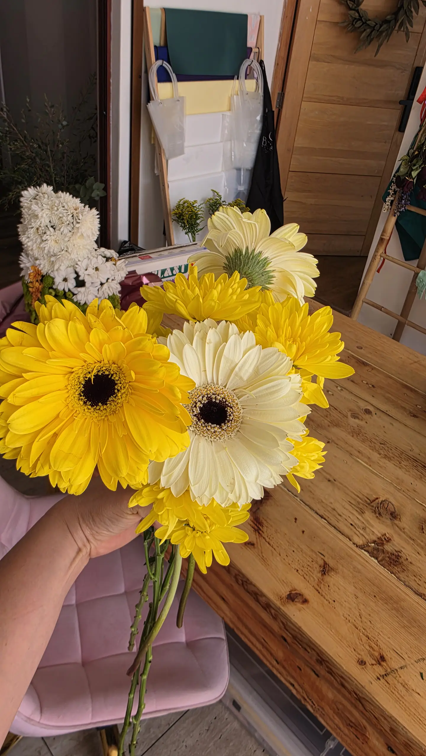 3 Gerberas y Maule Margarita Tamaño M 1
