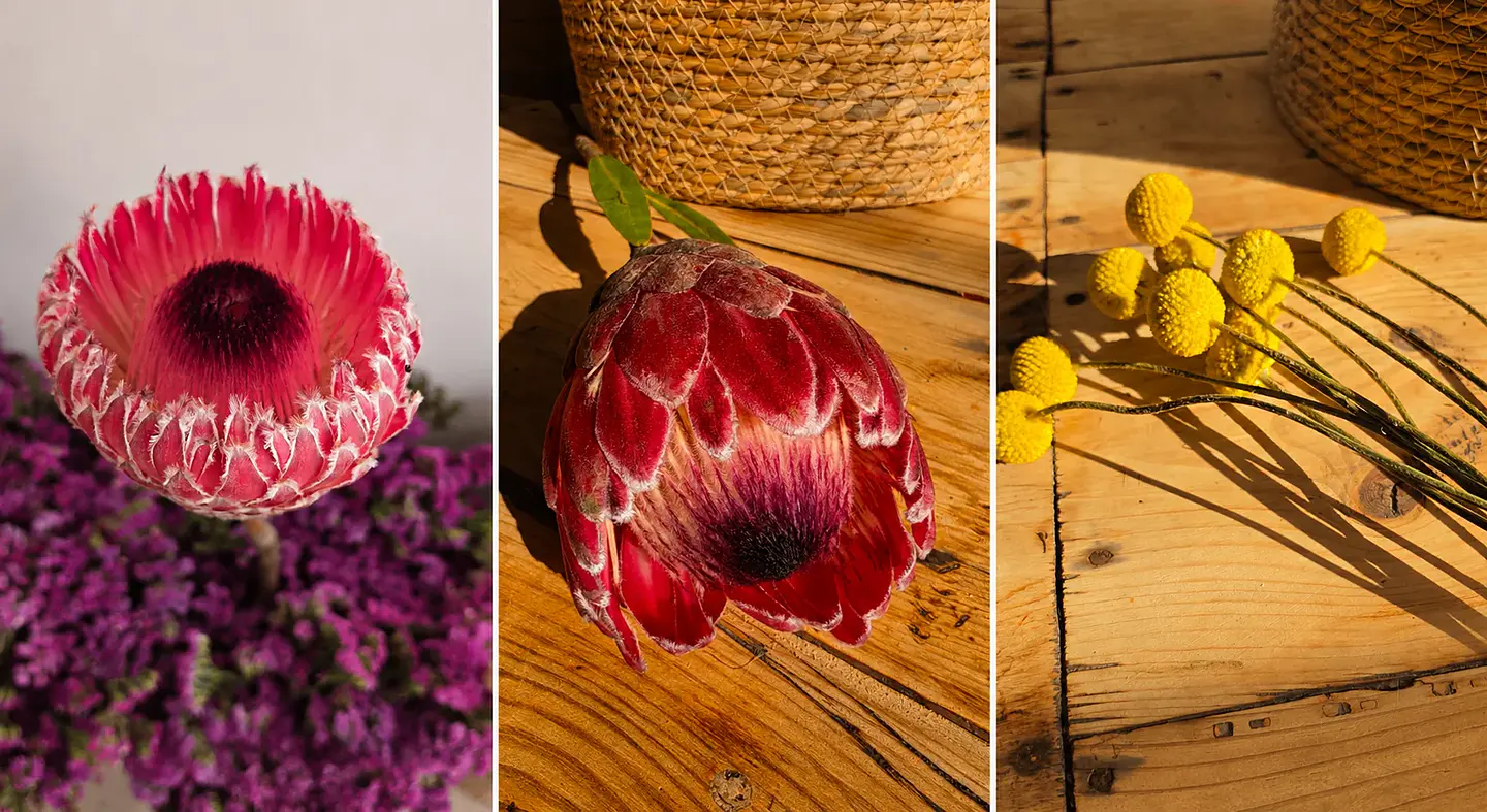 Flores Frescas