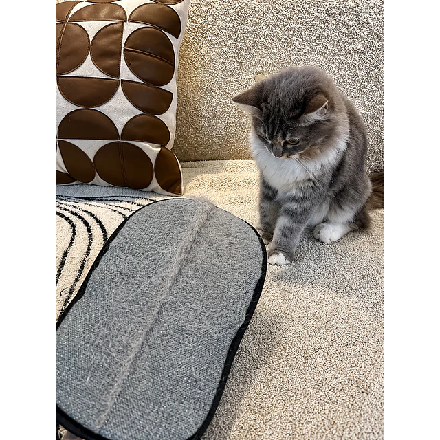 Guante Removedor de Pelos Mascota