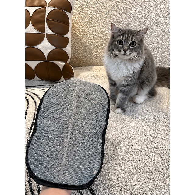 Guante Removedor de Pelos Mascota