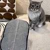 Guante Removedor de Pelos Mascota