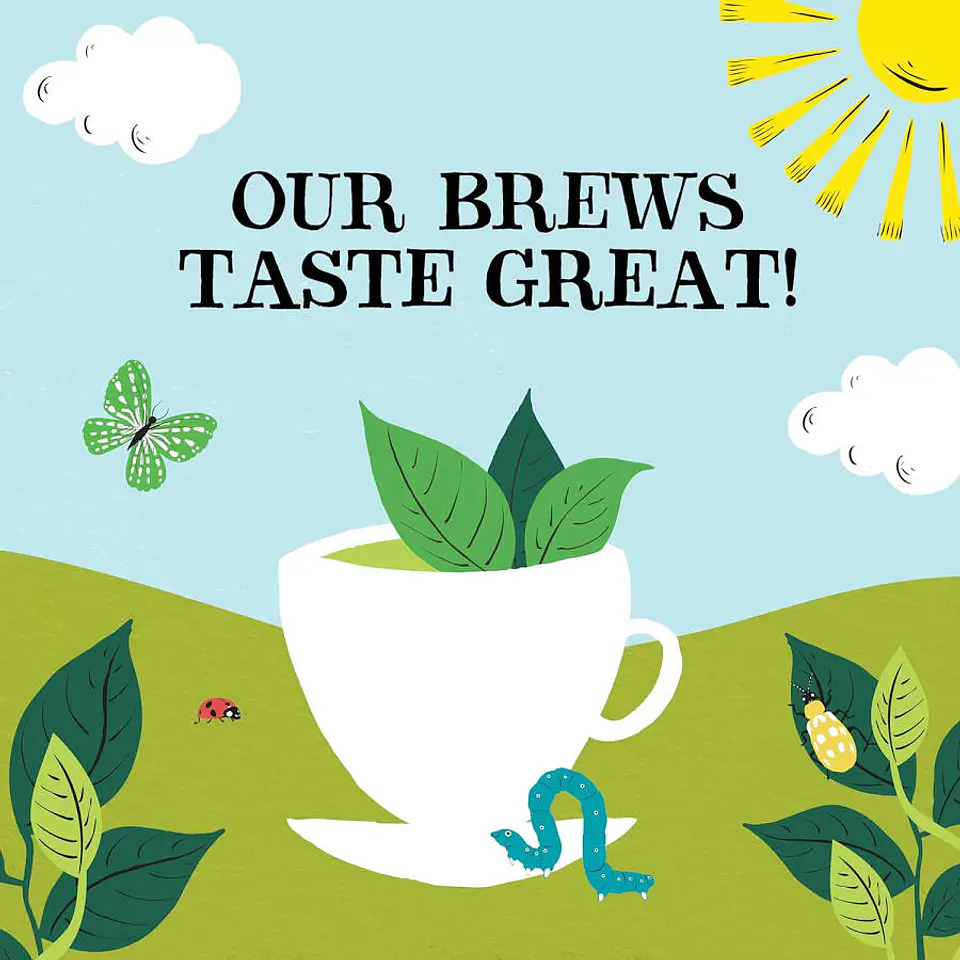 TÉ VERDE ORGÁNICO - 20 BOLSITAS - Clipper 4