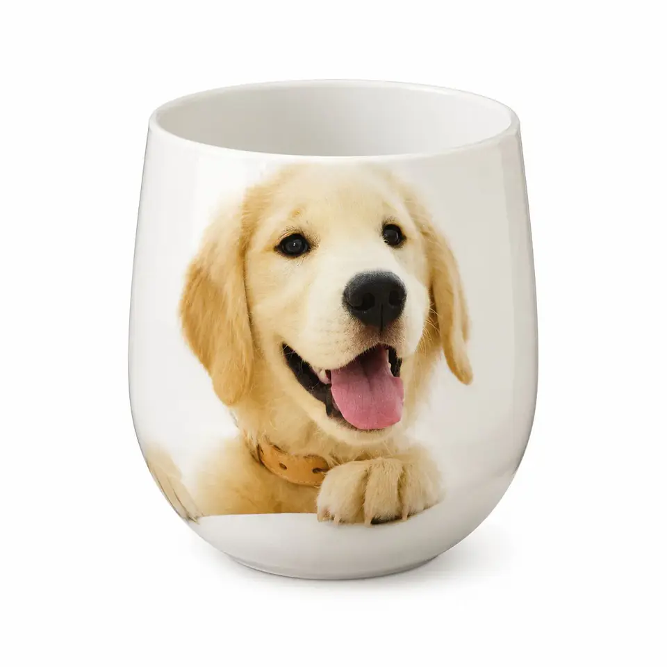 Vela Aromática para Mascotas DOG Algodón – Neutraliza Olores 2