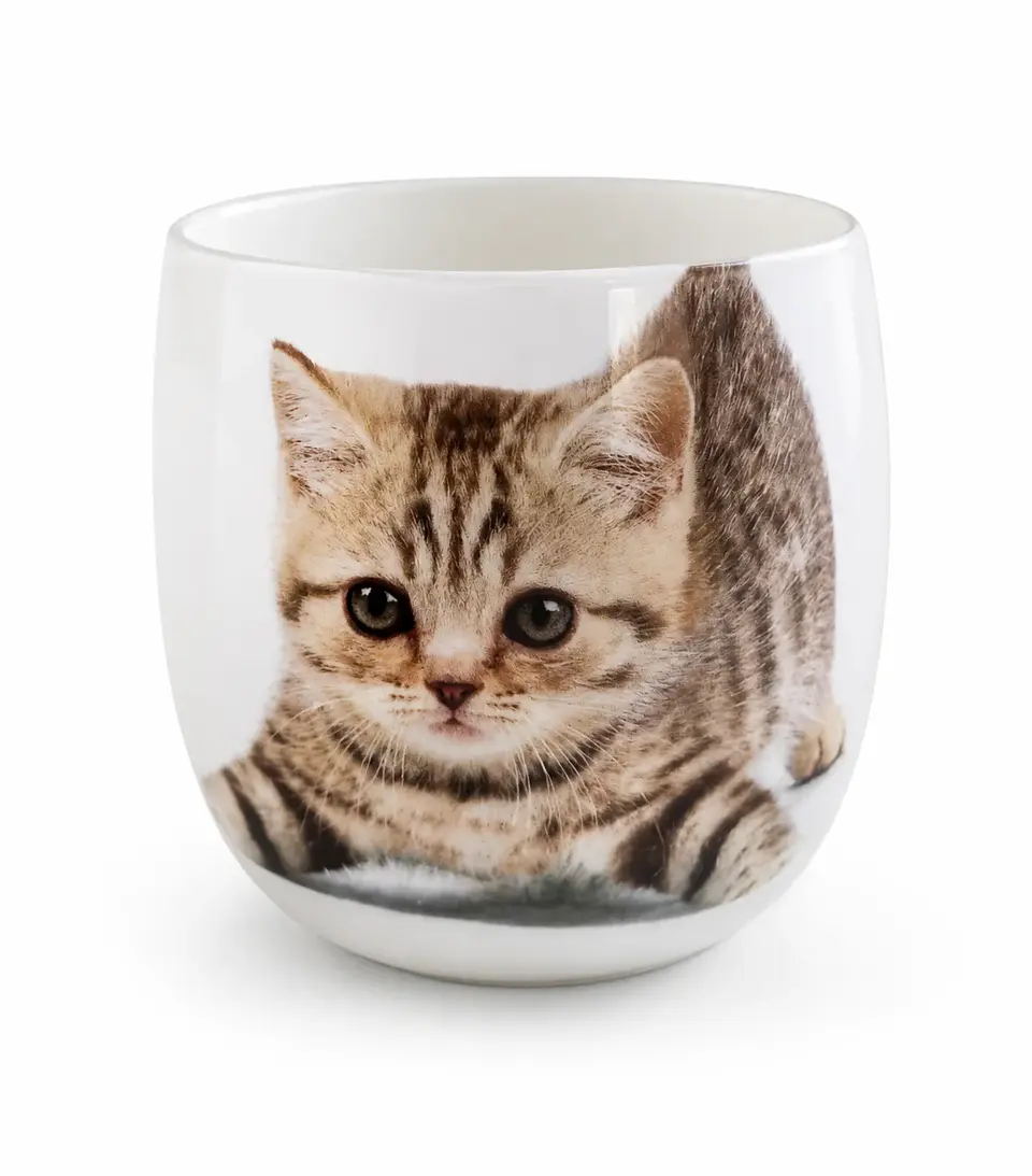 Vela Aromática para Mascotas CAT Orquídia – Neutraliza Olores 2