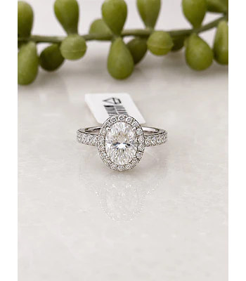 Anillo Oxford