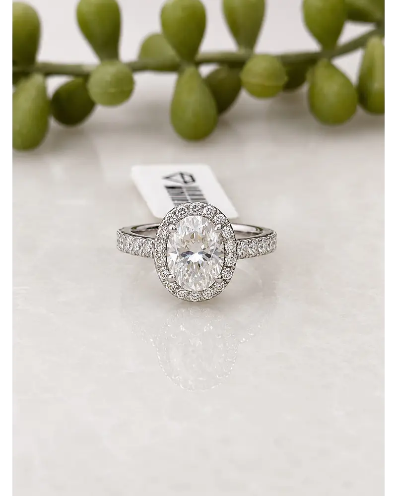 Anillo Oxford