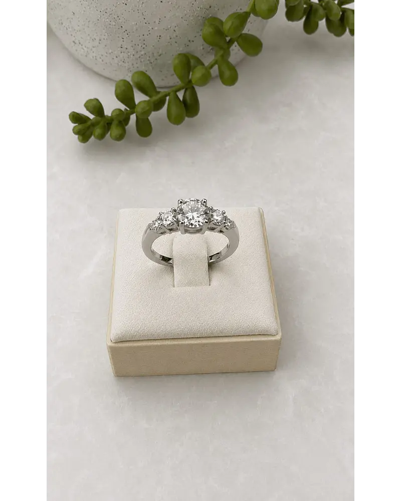 Anillo Niza