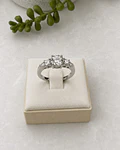 Anillo Niza
