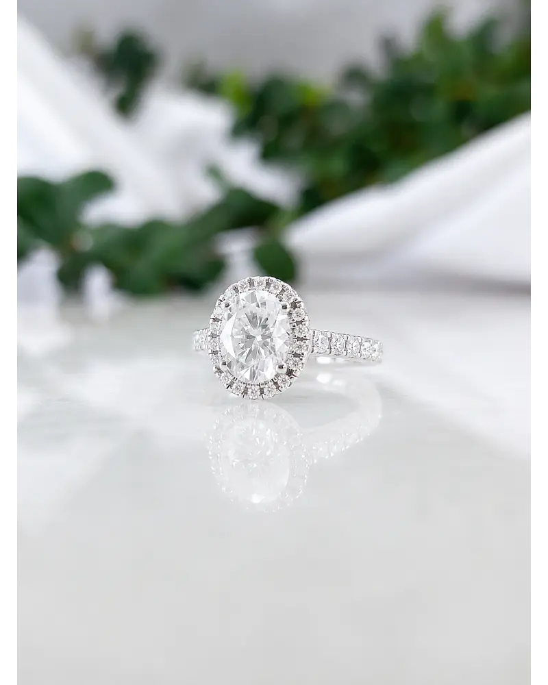 Anillo Oxford