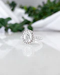 Anillo Oxford