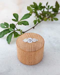 Anillo Tokio
