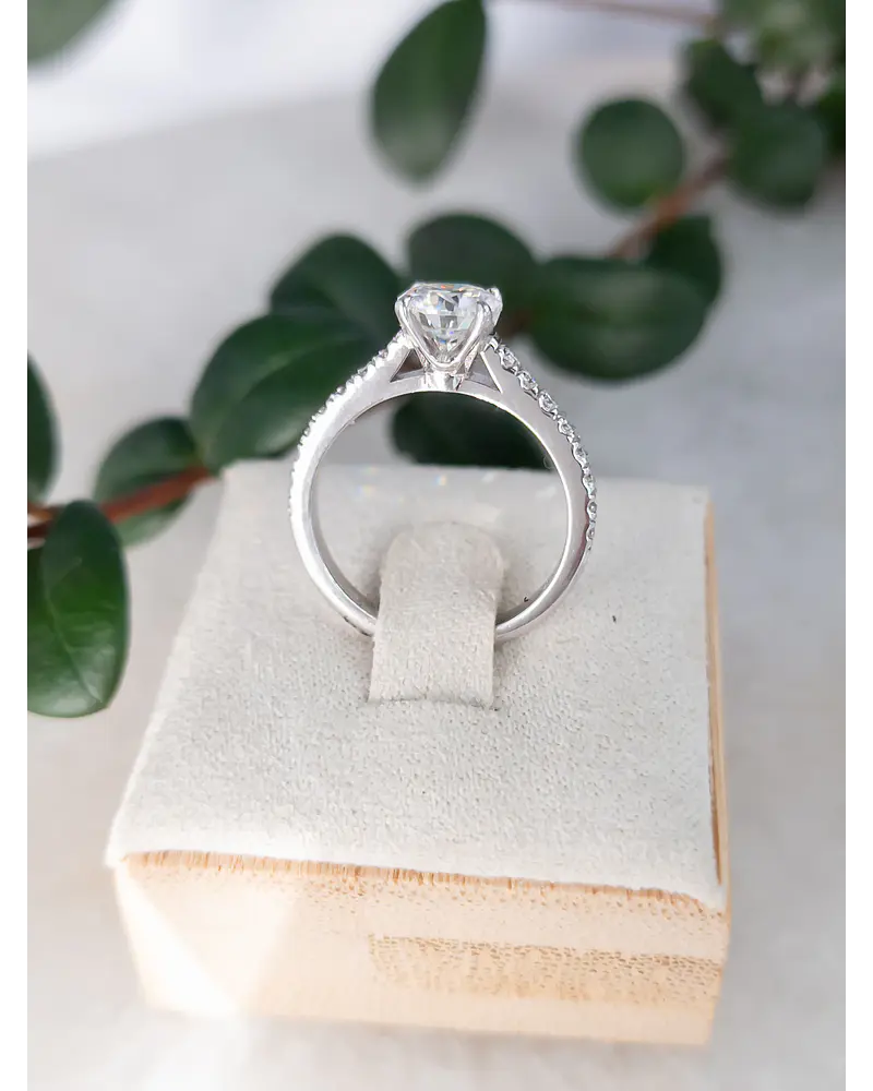 Anillo Paris