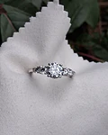 Anillo Niza