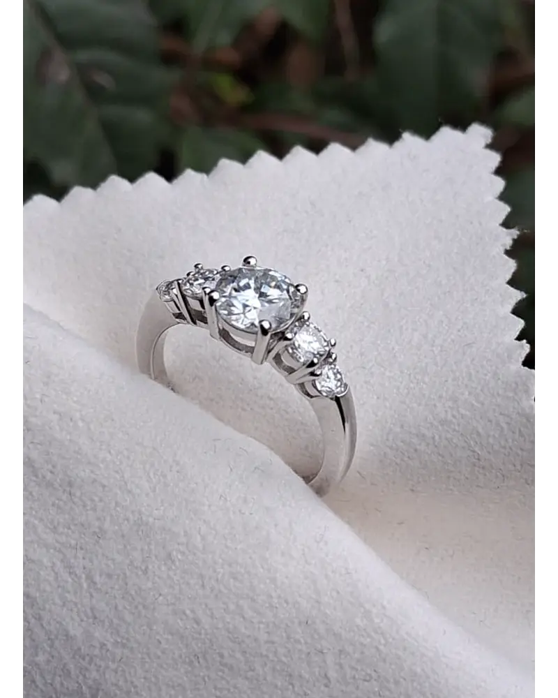 Anillo Niza