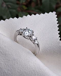 Anillo Niza