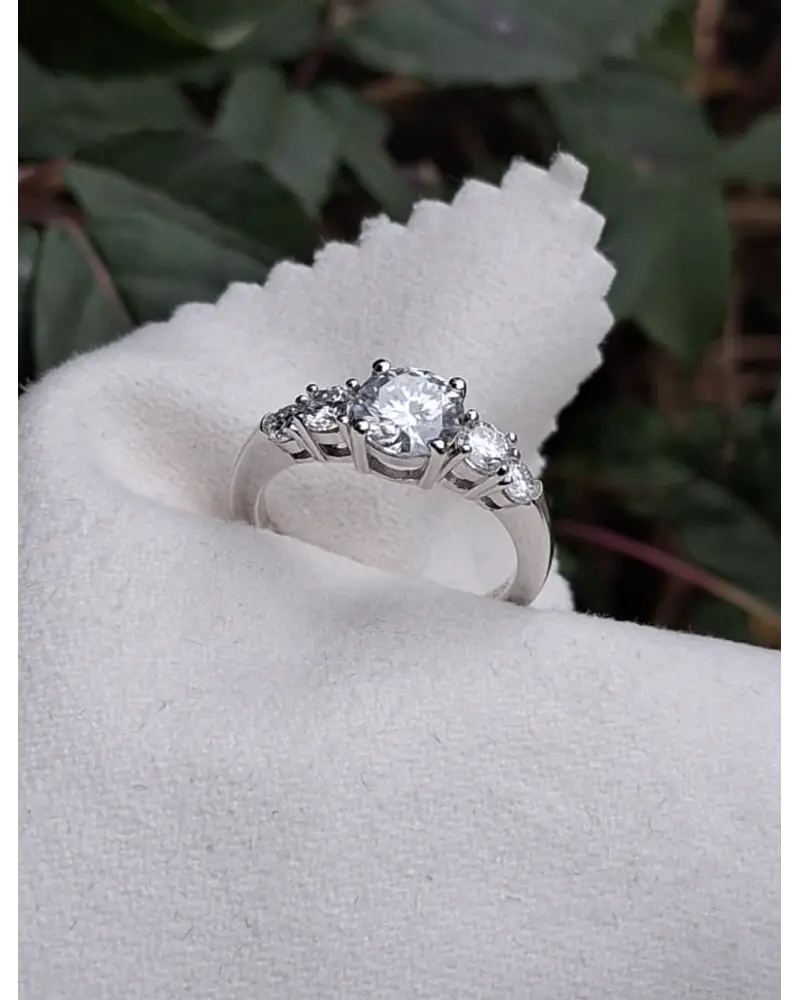 Anillo Niza