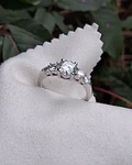 Anillo Niza