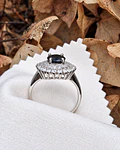 Anillo Cambridge