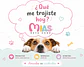 Fit Formula Perro Adulto Raza Pequeña 10 kg - Miniatura 2