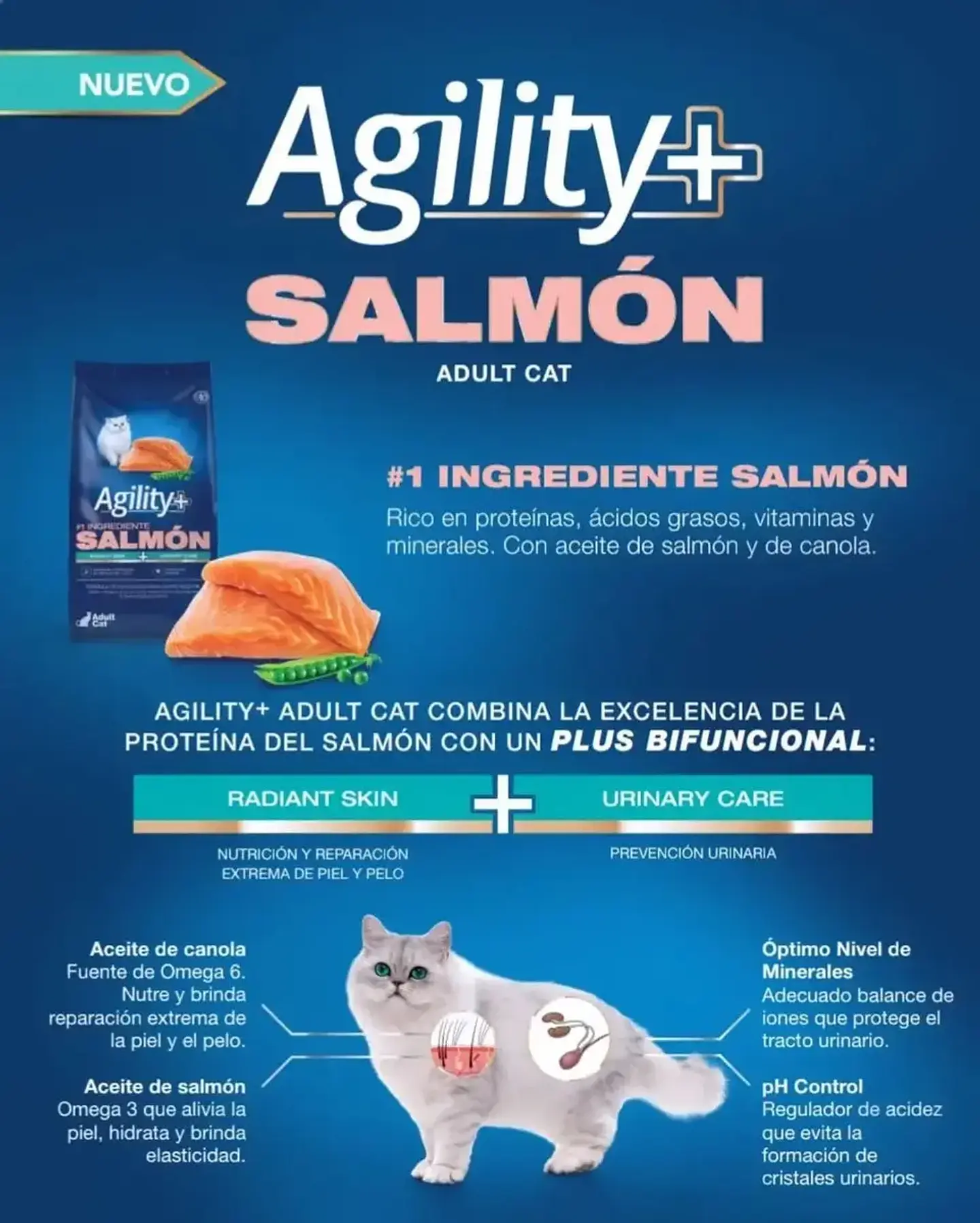 Agility Cats Alimento Gato Adulto Sabor Salmón 1.5 kg 3