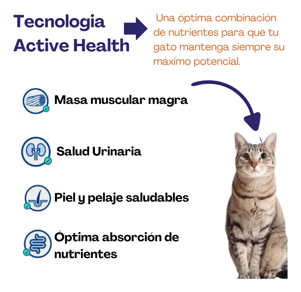 Agility Cats Alimento Cats - Gato Adulto - 10 Kg + Pala 10 kg + Pala Multifuncional 3