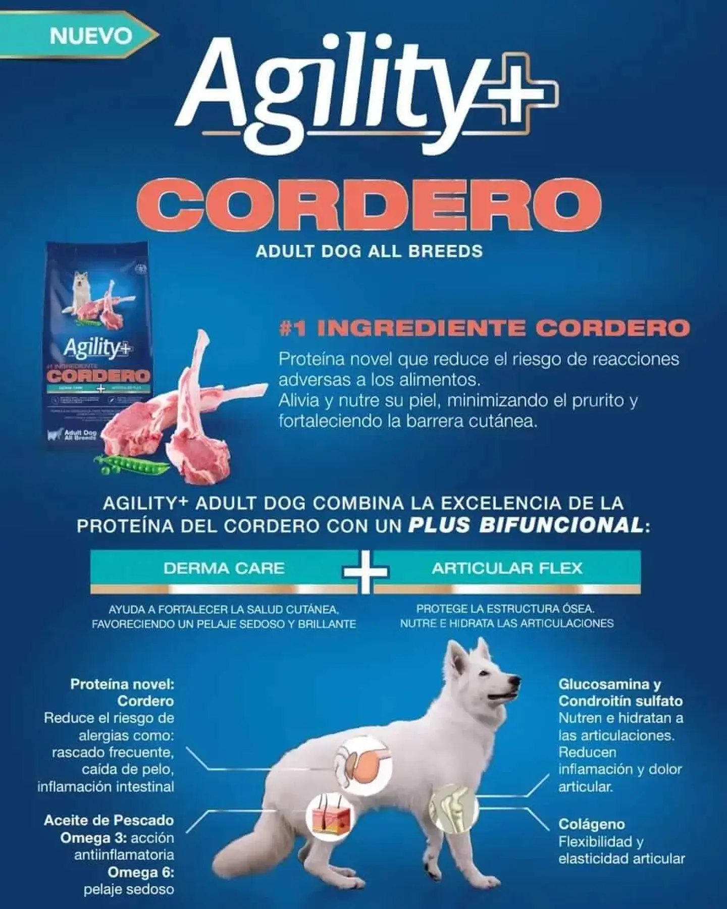 Agility Dog Alimento + Perro-sabor Cordero - 1,5 Kg 2