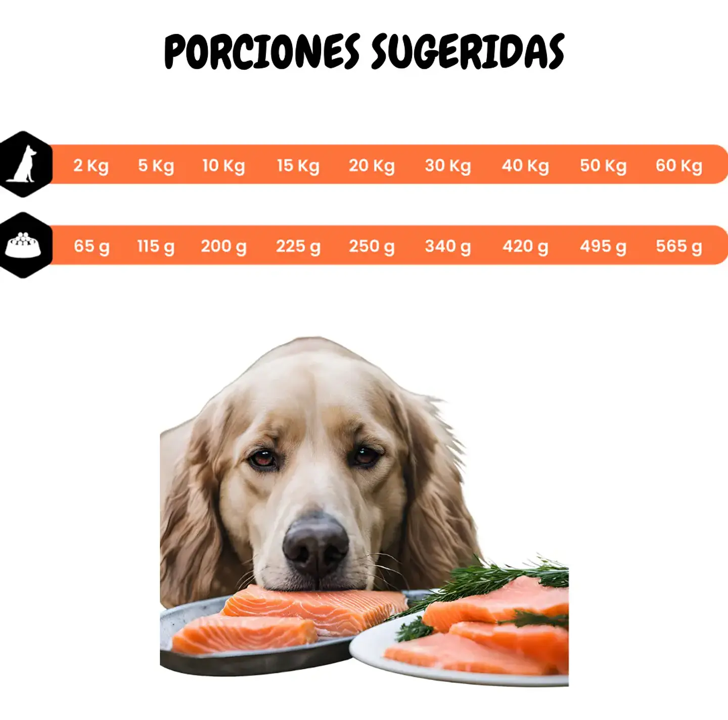 Amity Alimento Perro Adulto Sabor Salmón 14 kg 2