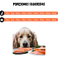 Amity Alimento Perro Adulto Sabor Salmón 14 kg - Miniatura 2