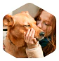 Amity Alimento Perro Adulto Sabor Pollo 14 kg - Miniatura 2